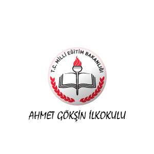 Ahmet Gökşin ilkokulu